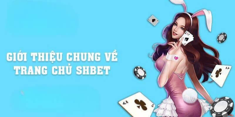 Giới thiệu chung về thương hiệu